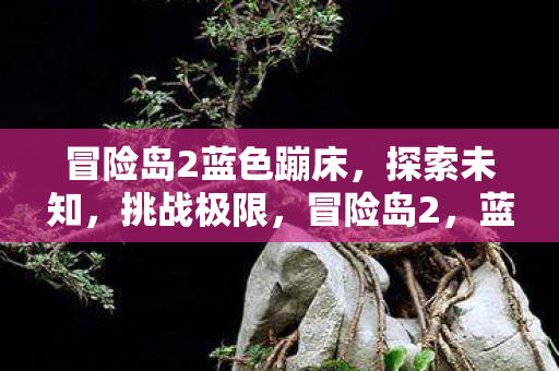冒险岛2蓝色蹦床图片