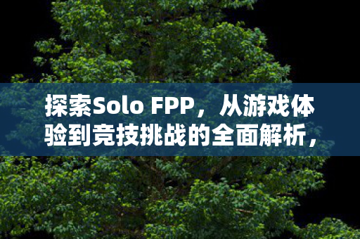 从游戏体验到竞技挑战的全面解析图片