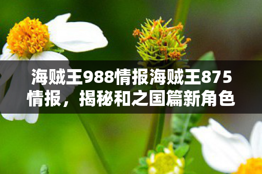 海贼王988情报海贼王875情报图片