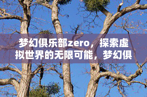 探索虚拟世界的无限可能图片