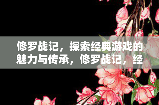 探索经典游戏的魅力与传承图片