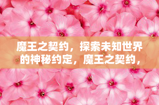 探索未知世界的神秘约定图片