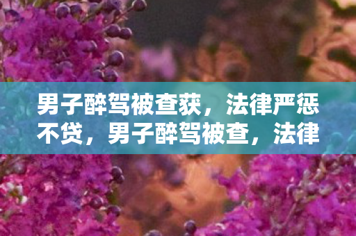 男子醉驾被查获图片