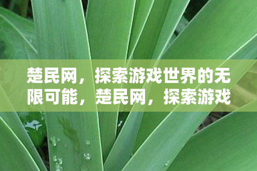 探索游戏世界的无限可能图片