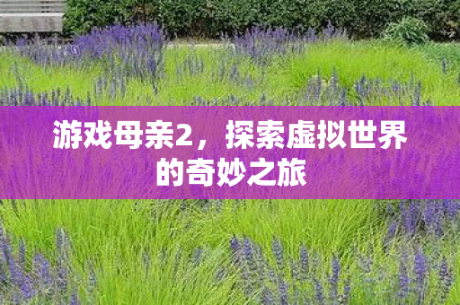 探索虚拟世界的奇妙之旅图片