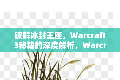 Warcraft3冰封王座秘籍深度解析图片