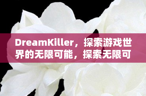 DreamKiller游戏世界揭秘图片