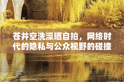 网络时代的隐私与公众视野的碰撞图片