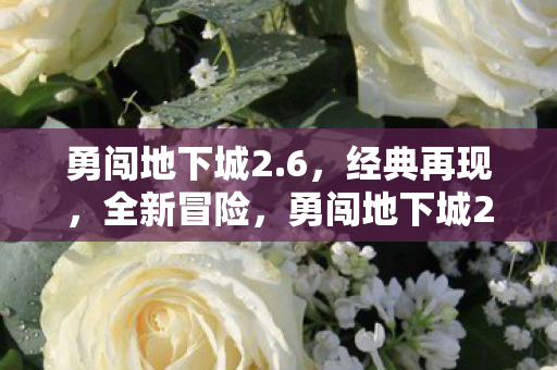 经典冒险再续新篇章图片
