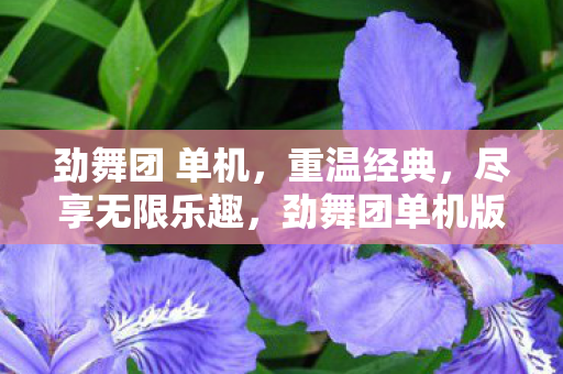 劲舞团 单机图片