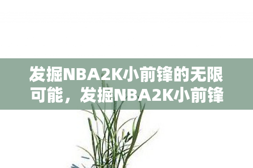 发掘NBA2K小前锋的无限可能图片