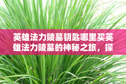 英雄法力陵墓钥匙哪里买英雄法力陵墓的神秘之旅图片