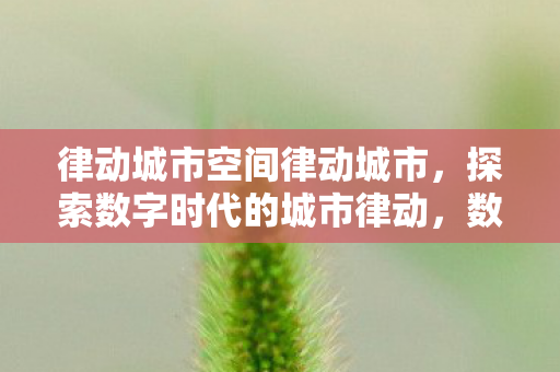 探索数字时代的城市律动图片