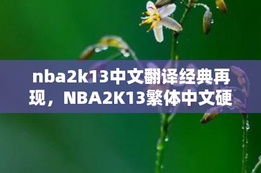 NBA2K13繁体中文硬盘版深度评测图片