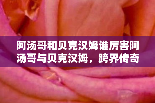 阿汤哥和贝克汉姆谁厉害阿汤哥与贝克汉姆图片