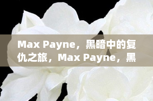 Max Payne图片