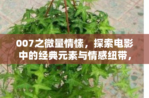 探索电影中的经典元素与情感纽带图片