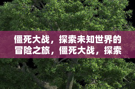 探索未知世界的冒险之旅图片
