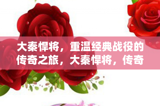 重温经典战役的传奇之旅图片