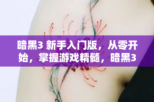 从零开始掌握游戏精髓图片