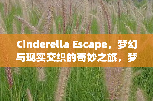 Cinderella Escape图片