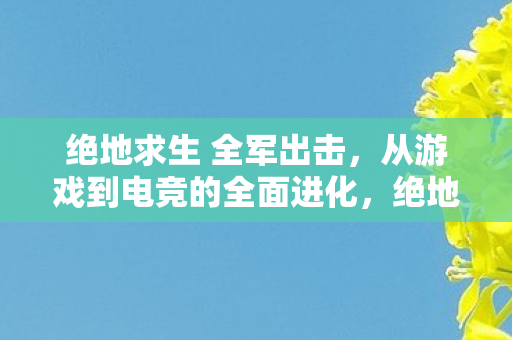 游戏到电竞的全面进化之路图片