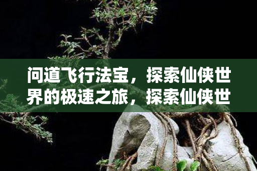探索仙侠世界的极速之旅图片