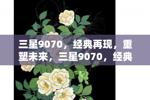 三星9070图片