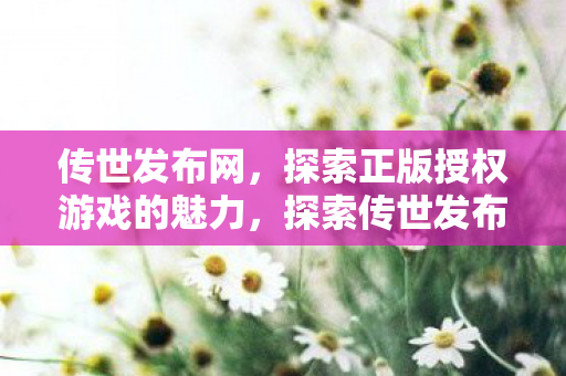 探索正版授权游戏的魅力图片
