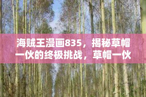 揭秘草帽一伙的终极挑战图片