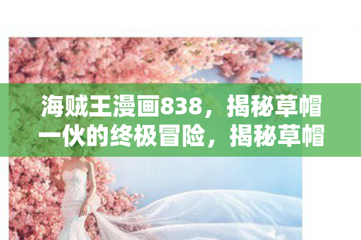 揭秘草帽一伙的终极冒险图片