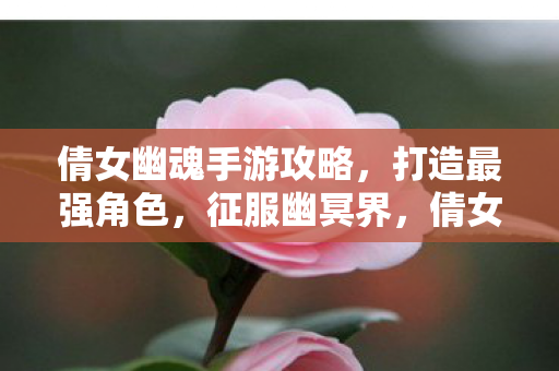 倩女幽魂手游攻略图片