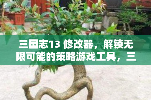 解锁无限可能的策略游戏工具图片