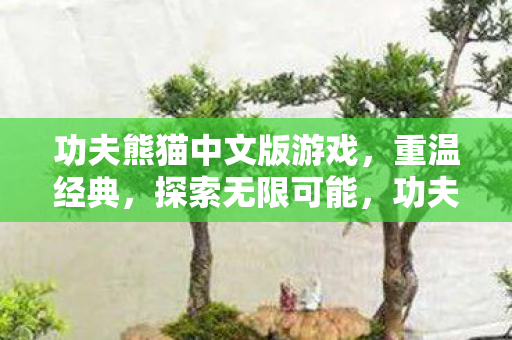 功夫熊猫中文版游戏图片