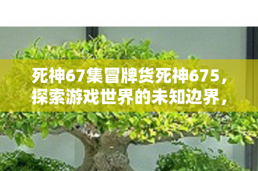 死神67集冒牌货675的冒险之旅图片