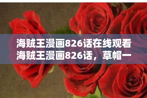 海贼王漫画826话在线观看海贼王漫画826话图片