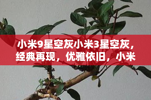 小米经典星空灰系列再现优雅图片