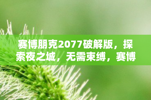 赛博朋克2077破解版图片