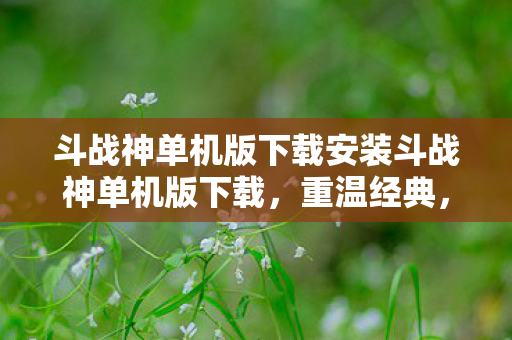 斗战神单机版下载安装斗战神单机版下载图片