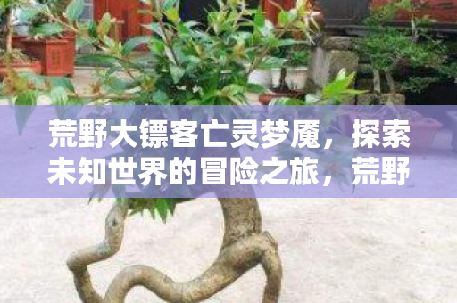 探索未知世界的惊险冒险之旅图片