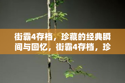 珍藏的经典瞬间与回忆图片