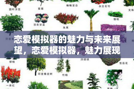 恋爱模拟器的魅力与未来展望图片