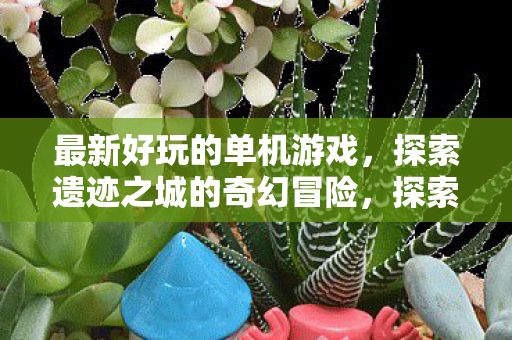 最新单机游戏奇幻冒险来袭图片