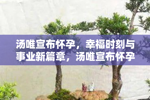 事业新篇章与幸福时刻同步到来图片