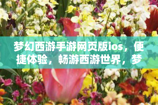 梦幻西游手游网页版ios图片