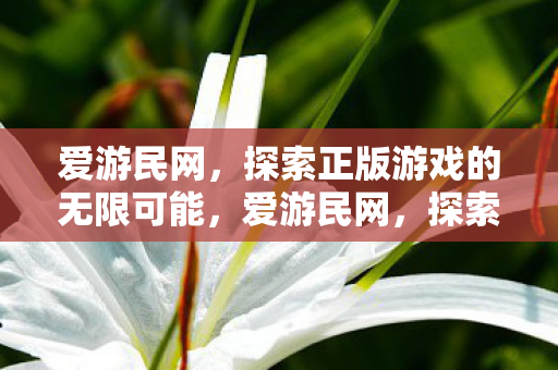 探索正版游戏的无限可能图片