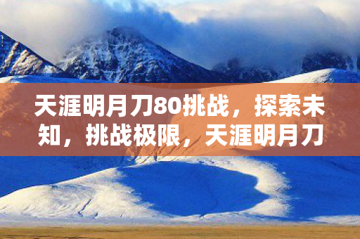 天涯明月刀80挑战图片