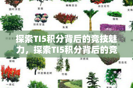 探索TI5积分背后的竞技魅力图片