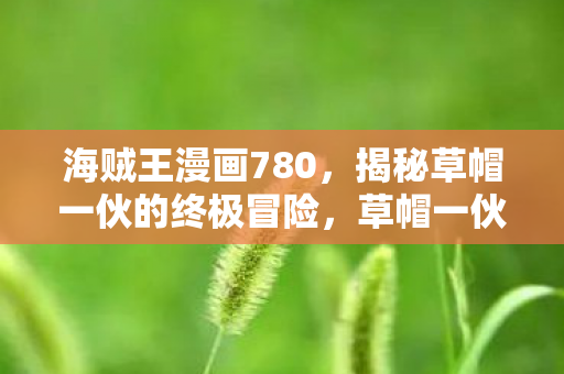 揭秘草帽一伙的终极冒险图片