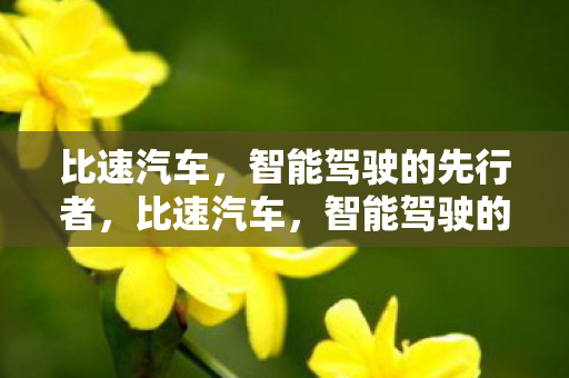 智能驾驶的先行者图片